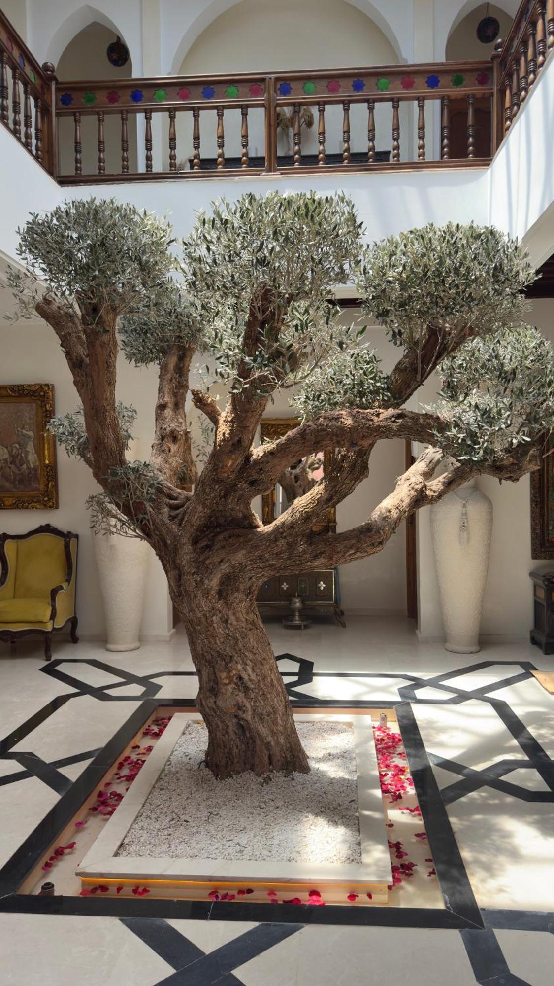 Albakech Boutique & Marrakesh